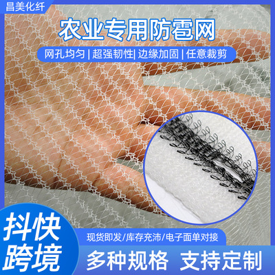 Olives Multicolor Europe Agriculture nut Collect Walnut plant Fruits and vegetables Vegetable garden Pest control Net