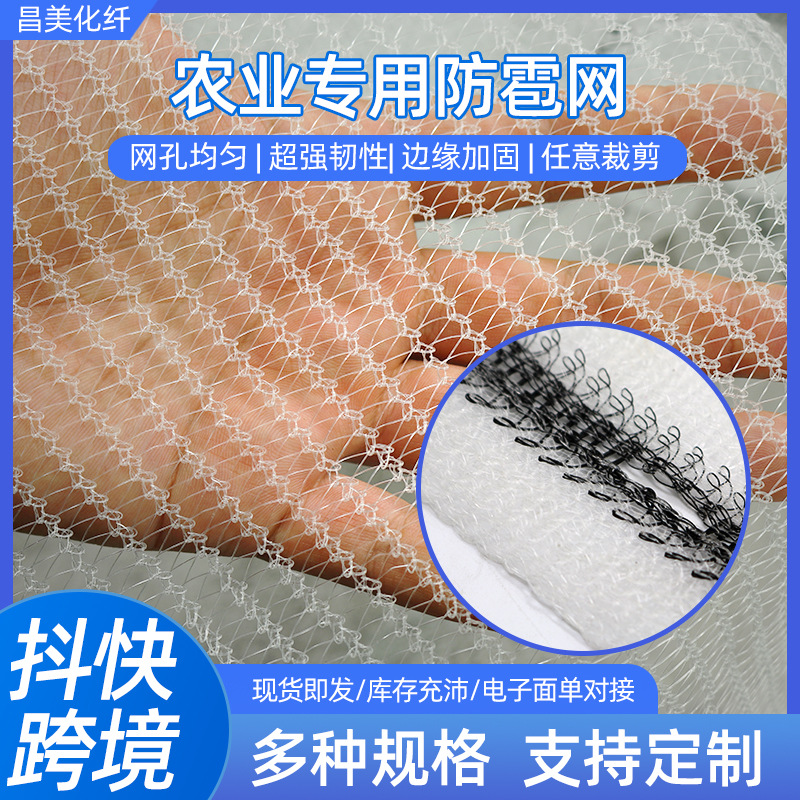 Olives Multicolor Europe Agriculture nut Collect Walnut plant Fruits and vegetables Vegetable garden Pest control Net