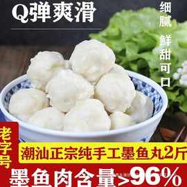 鱼丸潮汕手打汕头达濠墨斗丸花枝丸纯手工丸子食材火锅1000g