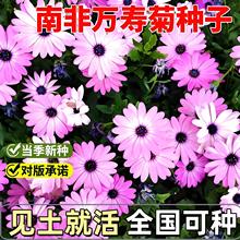 Ϸf۾շNͺ̨ͥԺ{ĿջļN_r