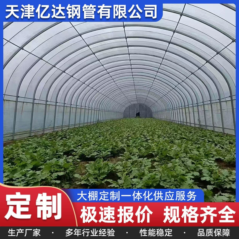 Полный комплект каркаса для теплиц из стальных труб, сельскохозяйственная теплица с горячеоцинкованными трубами, производитель теплиц и навесов для посадок.
