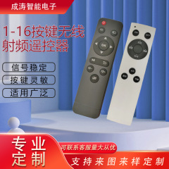 家庭用電気製品シリコン汎用リモコン1-16ボタン無線リモコン