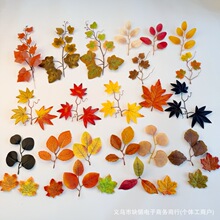 ������~�ɫ�S���¿���~�Ĕz�����Y�b����߼��~�����l��ˇƷ