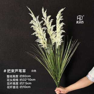 ����Gֲ���������JȔ�ݻ�Y·���Ӽ��b�c����ֲ������[��