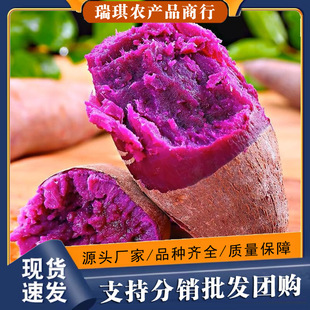 ����ɳ��10�����r���_�m�t���ϵع��߲����l3/5���ϼt����������
