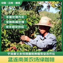中國雲南普洱孟連產綠咖啡,阿拉比卡卡蒂姆CIFC7963,雲南小粒咖啡