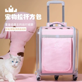 猫猫包、箱;狗狗包、箱;猫猫食具