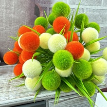 ëٻҾ·͏d[ŷ滨ƹc廨b