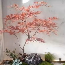 �߶˼٘���ë���~������uצ�ʼt���҃ȾGֲ�����쾰�bU�⾰�^