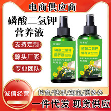 �������⛠I�BҺ 100ml �҃������Ի��ܾGֲͨ�����������~���