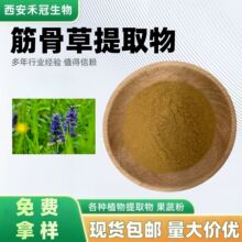筋骨草提取物10:1土克甾酮2%-10%白毛夏枯草水溶筋骨草粉现货包邮