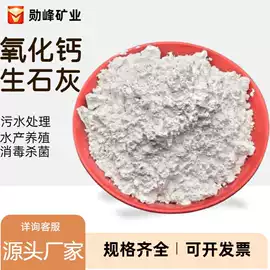 其他非金属;非金属粉末;硅藻土