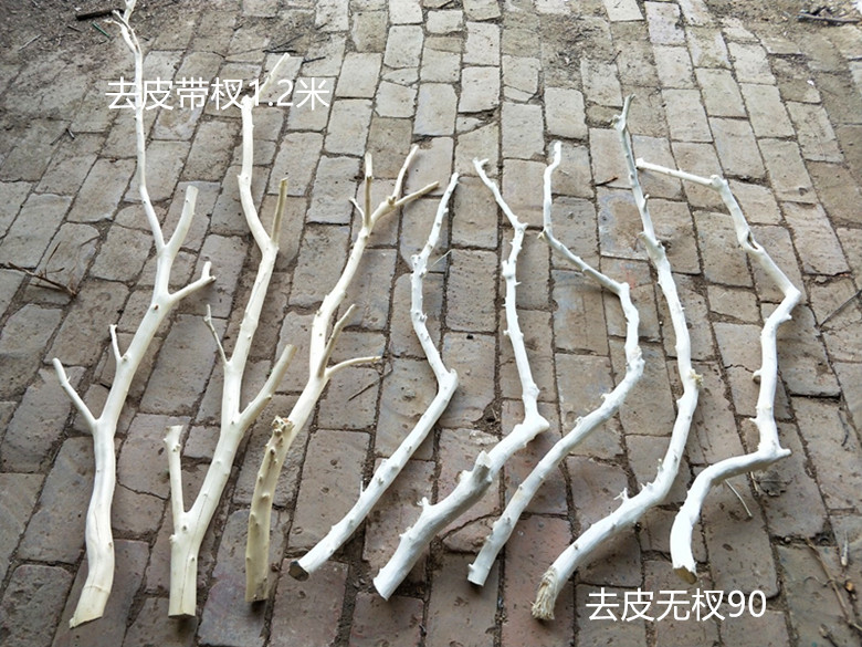 。Arquivos de flores de ramas secas de madera tronco artístico ramas secas maderas secas de madera secas descorpeadas modelado percha de pared paquete de tronco