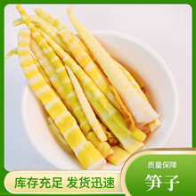 竹笋嫩笋尖当季新鲜小竹笋手撕笋手剥笋免切野生冬笋干四川特产