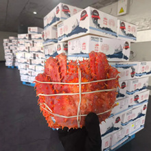 �羳��������з���������u��ֻ���r������r�������l�^���ͶY����