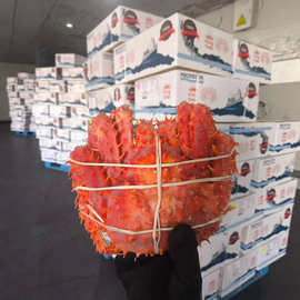 跨境供应帝王蟹智利帝王岛整只新鲜熟冻海鲜日料批发过节送礼商用