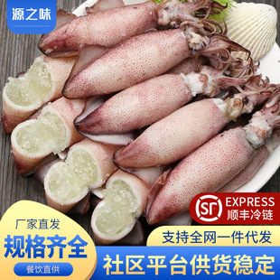 冷冻鱿鱼海鲜