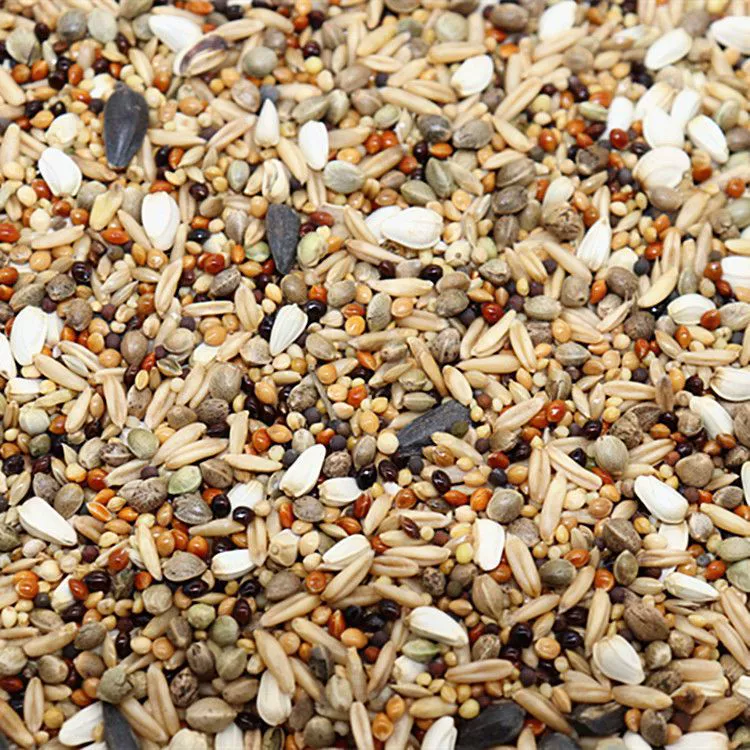 Корм для попугаев Tiger Parrot Feed Xuanfeng сShell, Huangguzi Xiaomi Peony Birds многоцветный корм для птиц