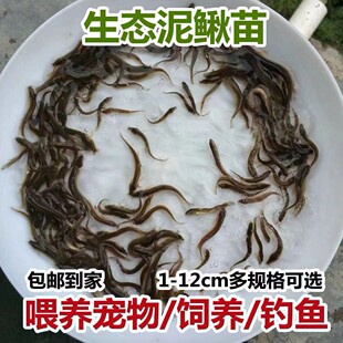 ̨�����q��~�籾�����q���q�r���~�Bֳ��ˮ�������~�������