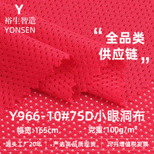 75D小眼洞布 100g全涤经编速干网眼面料 马甲内衬背心针织布料