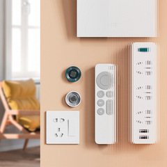 New Light Luxury Magnetic Hook Remote Control Holder Air Conditioner TV Home Collection Magic New House Bedroom Living Room Essential