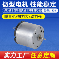 メーカーはRS-528の電気カーテンの直流モーターを供給しています。
