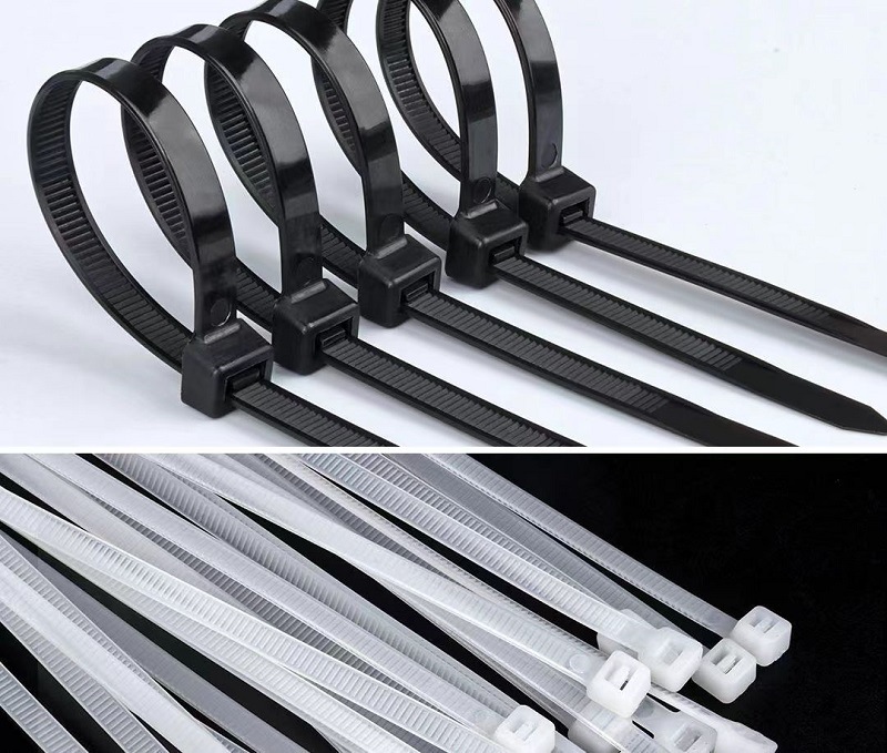 微信图片_20230812080931_1