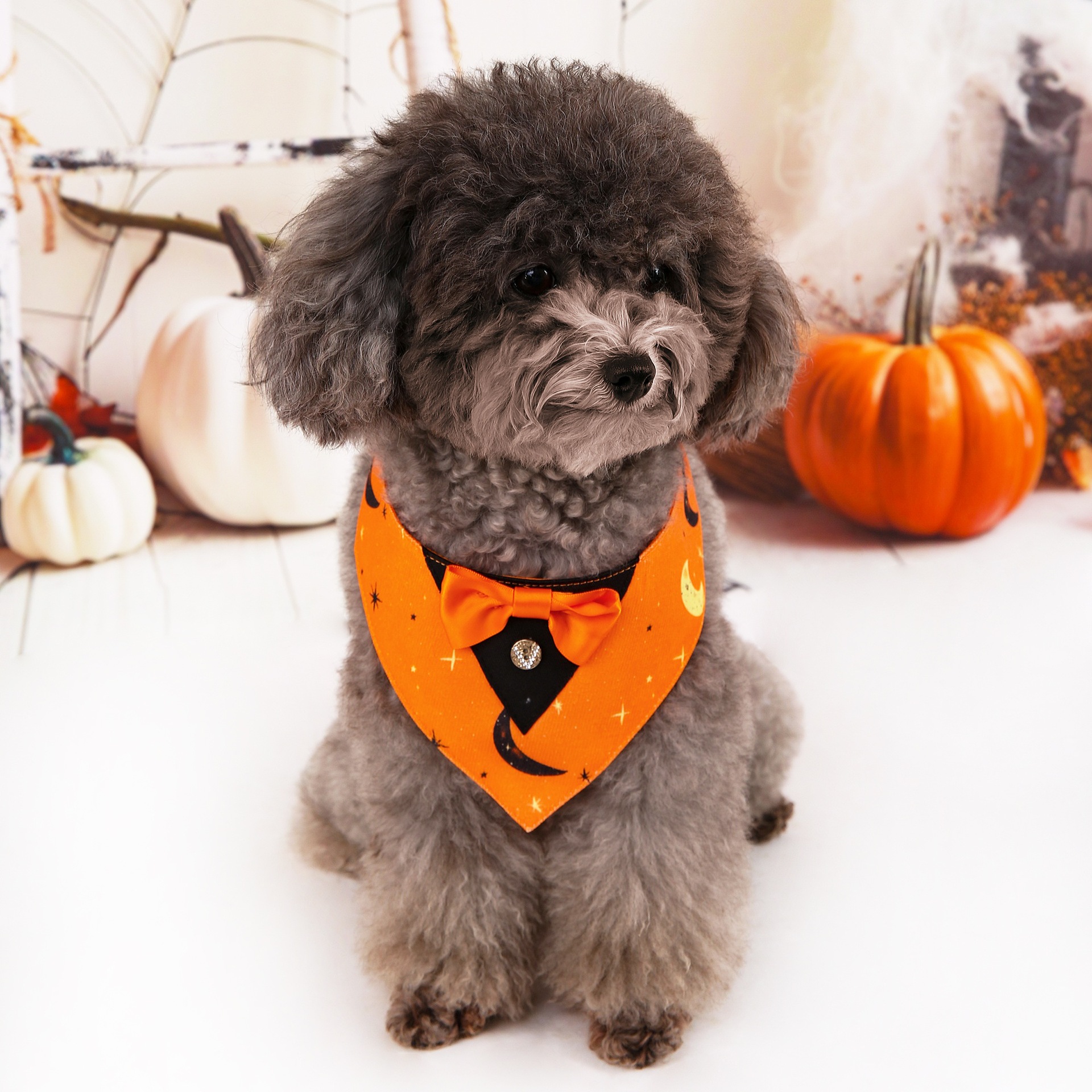 Halloween nuevo traje de mascotas toallas triangulares toallas de saliva collar de mascotas fábrica de ropa de perro en stock