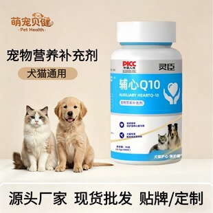 �`���o��Q10 ����I�B�a�䄩 ��������I�B؈��һ�����l
