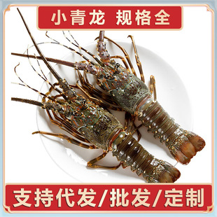 �ش��r��С���������r�W����ʿ�D���r�������С�����������l���l