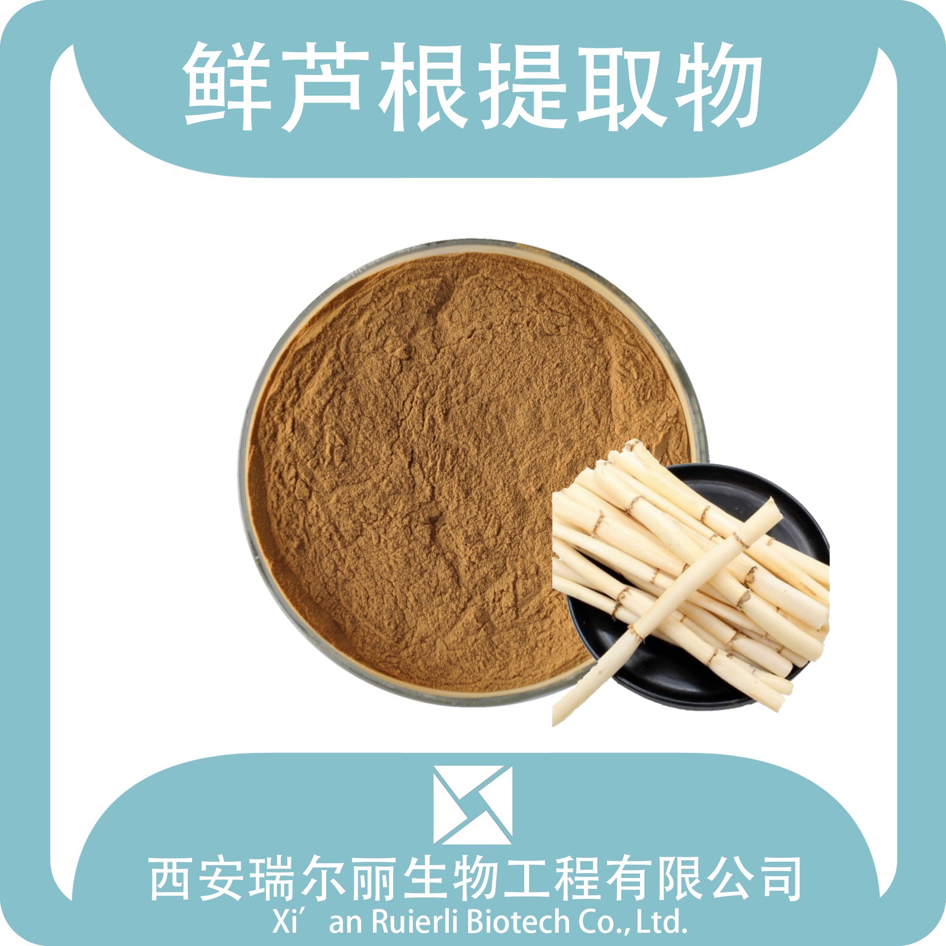 鲜芦根提取物 鲜芦根粉  瑞尔丽生物 厂家现货 鲜芦根速溶粉