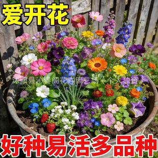 Ұ���M�ϻ��N�Ӹ�ɣ����˹���ļ����N�_���׻�N����̫ꖻ��N��