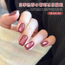 �W�t���ѱ��貣����؈��ָ�����z2026���¿�W�@��ɫ���׵ꌣ��