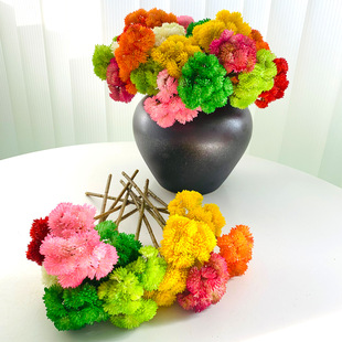 ���滨�S�� ܛ�z�������й����潑����������ֲ��ܛ�z���˲˻�