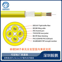 ��ģSM�ӆ�Ԫ��֧���҃�������|24/36/48/72/96о���x