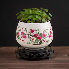 碗莲专用盆缸铜钱草睡莲一叶莲水仙花盆金钱草水培植物盆无孔花盆