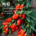 ��Ӧ��轴�¶ �������   ���Ҵ�¶���� ��ӭ��ѯ��ⱸ��������