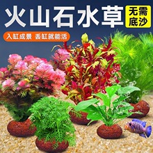 ��ɽʯˮ��ֲ���~���쾰���ˮ������ˮ����ԾG�Ճ���ˮ�|�ײ�