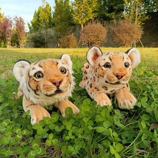 �����������С�ϻ�С������ż������ë�q�����Ф�������Y�����l