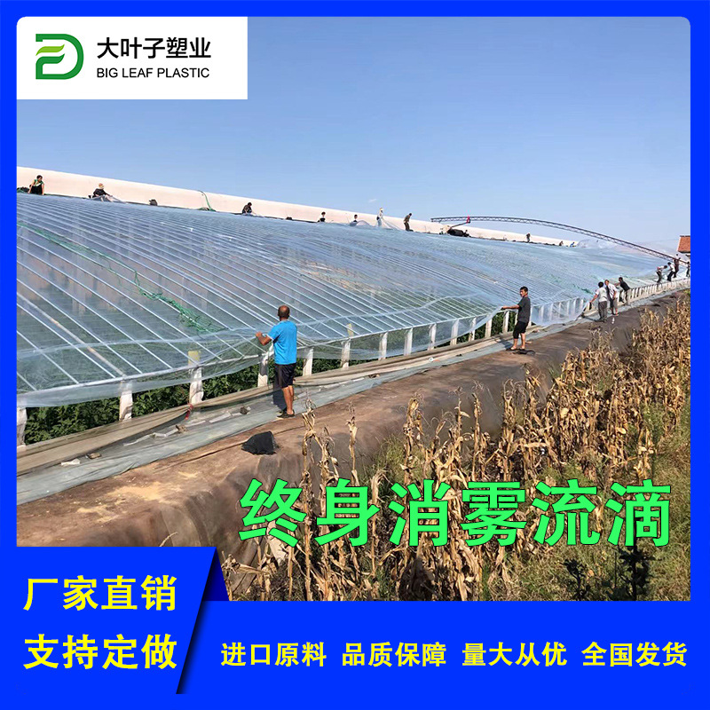 封窗户果树保暖水泥加固塑料膜PO膜塑料布养殖膜抗老化大棚膜