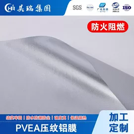 塑料食品袋;其他塑料薄膜;镀铝膜