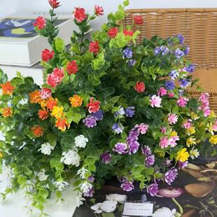 ���R�d����ֲ��ٻ������ȼ����軨�Gֲ����ˮ�����Q�M���Ƿ��滨