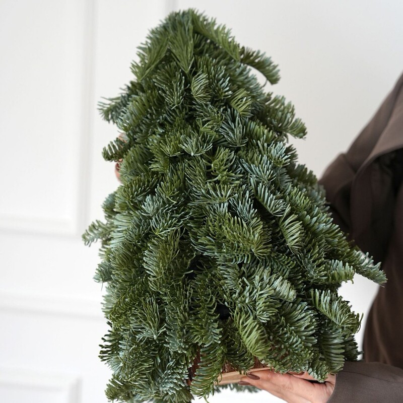 Simulation PE nobel pine tree 2024 Christmas new Christmas tree 40cm living room desktop decoration DIY