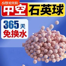 ��ɫʯӢ�����~�����^�V�����^�VͰ�����п����մɭh�~�׼�����