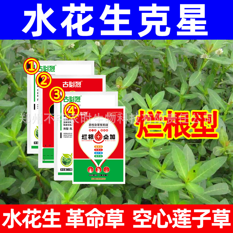 氯氟吡氧乙酸水花生专杀克星水花生除草剂空心莲子草革命草灭草剂