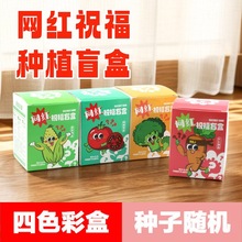 儿童植物盆栽种植盲盒幼儿园观察小学生种子绿植创意迷你开花娃娃