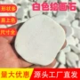 儿童庭院手绘绘画网贴石