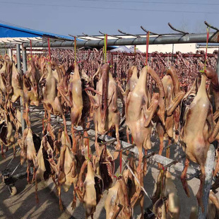 ������Z�r�������L���Z�خa�����D���D�Z��؛�����Zɢ�Béɽ���Z