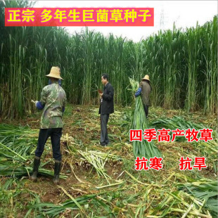 ���ݷN�����͸߮a�޾��ݷN�Ӷ������߮a���ݷN������ݻ���ݷN��