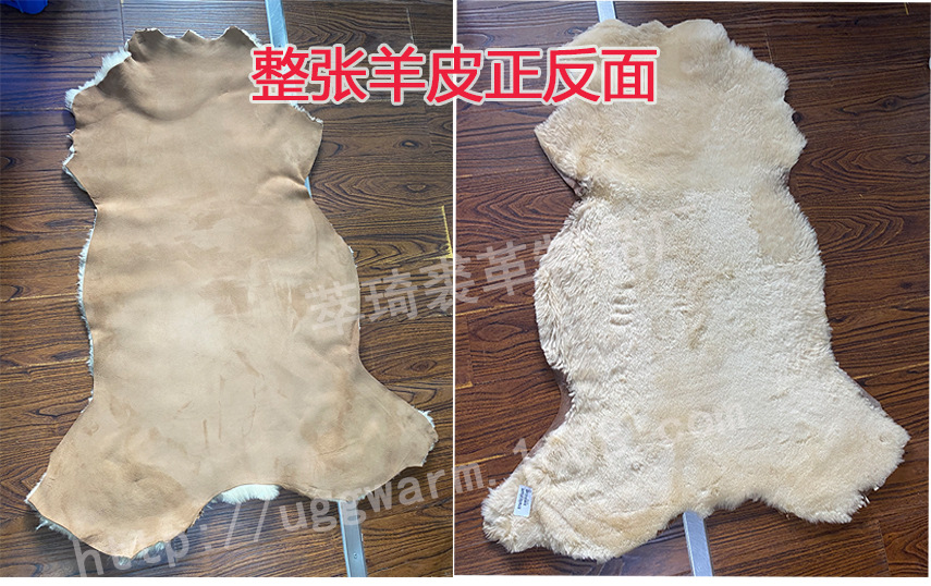 羊皮正反面 带水印